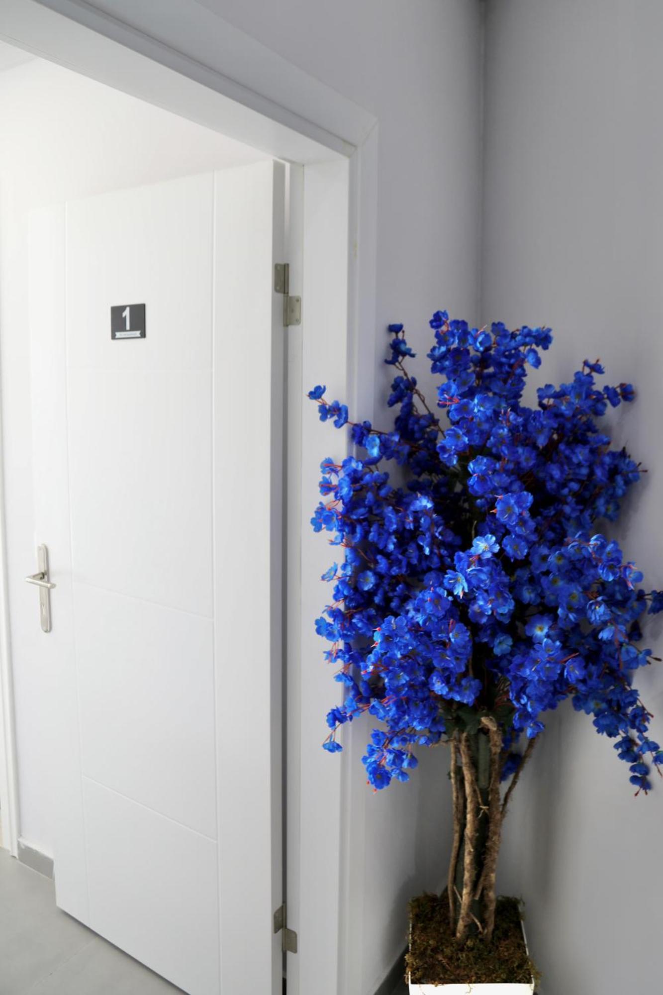 גולם Sea View Apartments מראה חיצוני תמונה